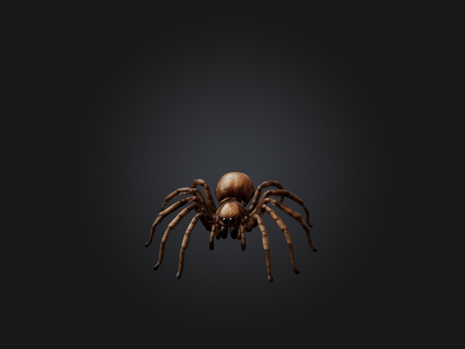 Realistic Spider Model Low-poly 3D model_3