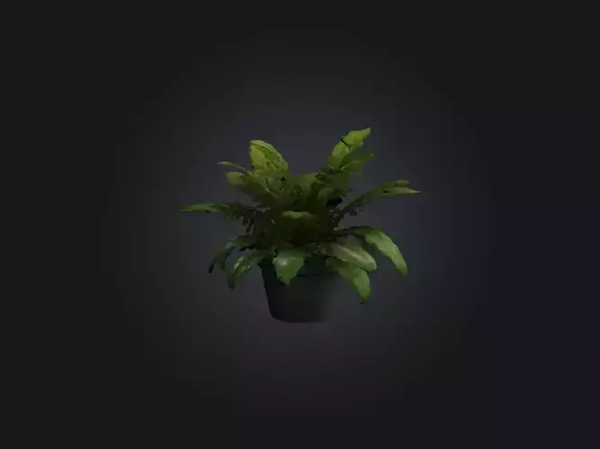 Realistic Plant Model