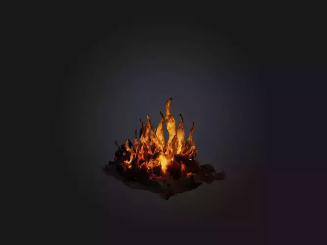 Realistic Fire Model