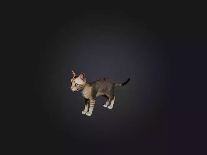 Realistic Cat Model