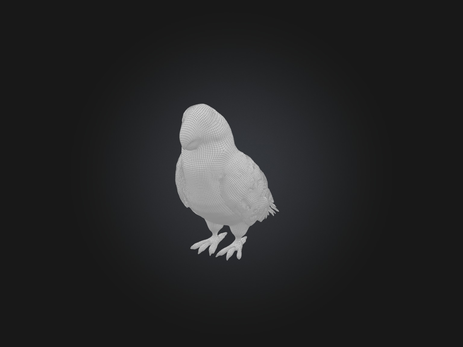 Realistic Bird Model Low-poly 3D model_2