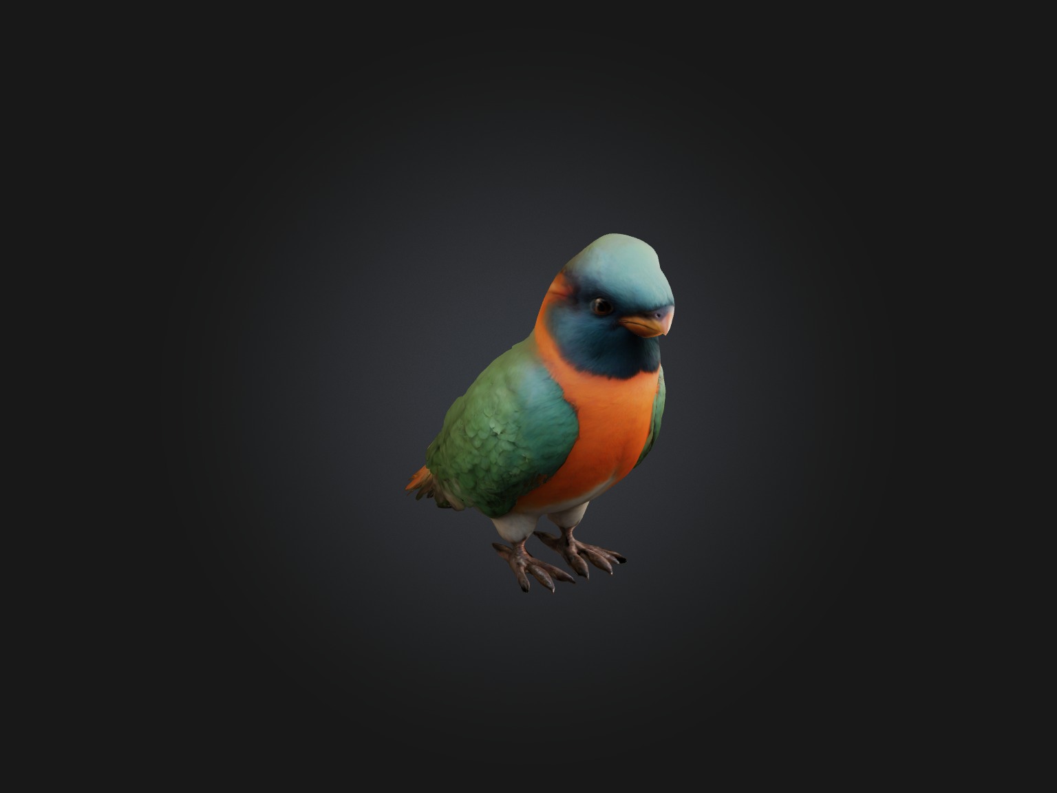 Realistic Bird Model Low-poly 3D model_4