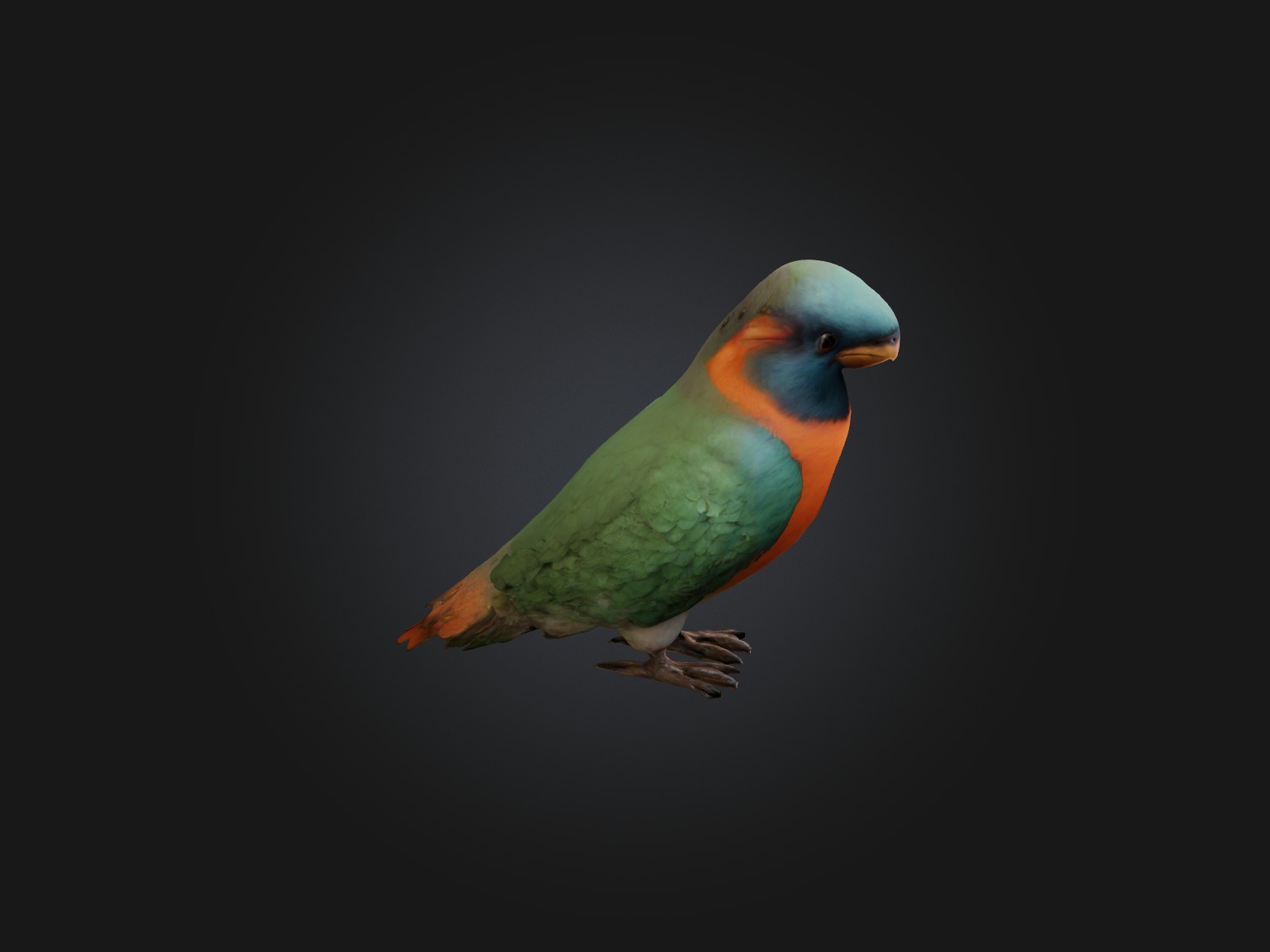 Realistic Bird Model Low-poly 3D model_5