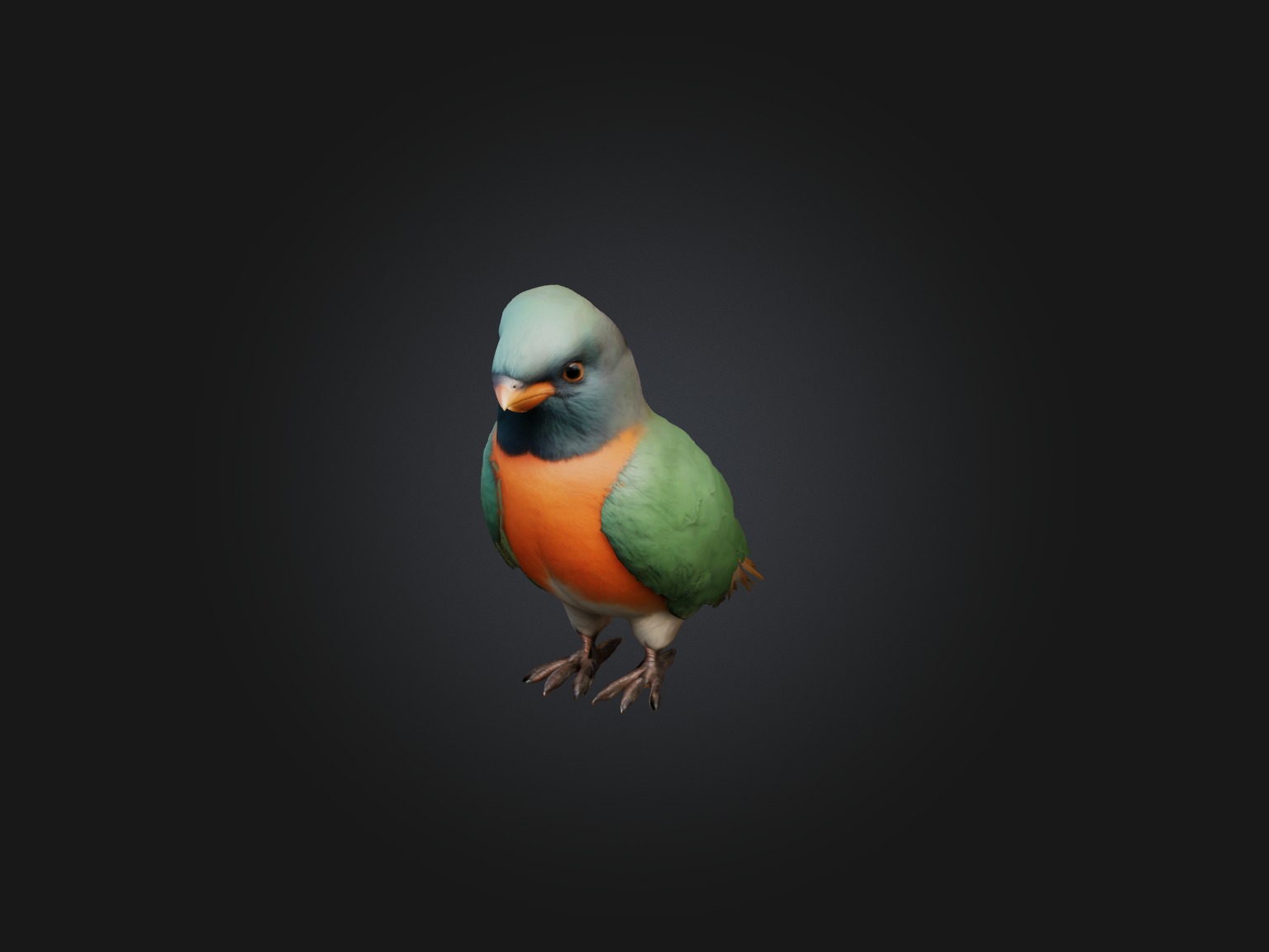 Realistic Bird Model Low-poly 3D model_1