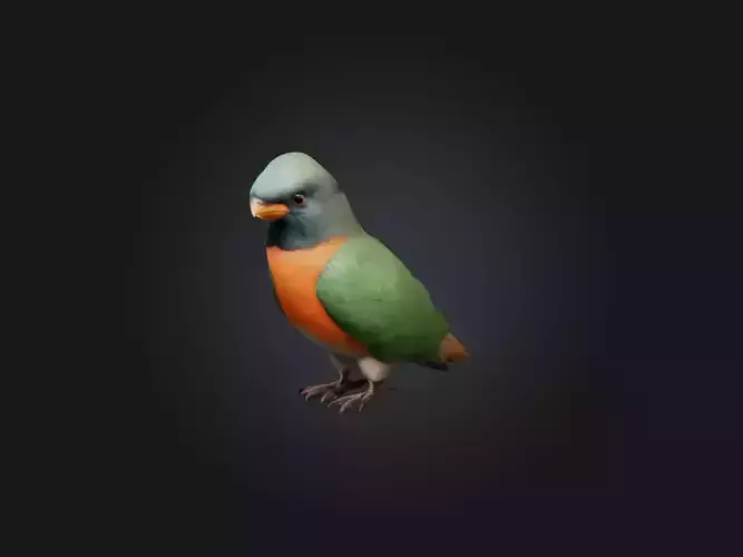 Realistic Bird Model