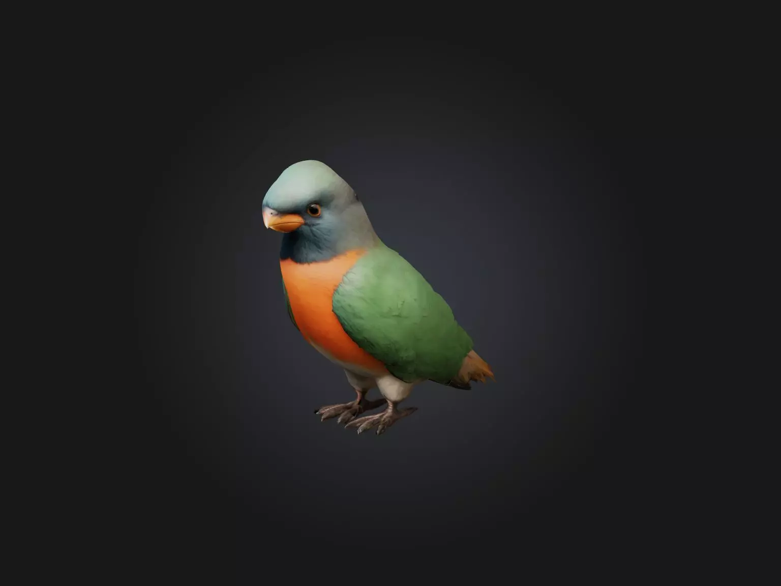 Realistic Bird Model Low-poly 3D model_0