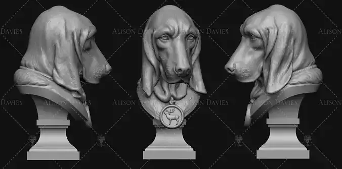 Bassett Hound Dog head bust  3D printable model