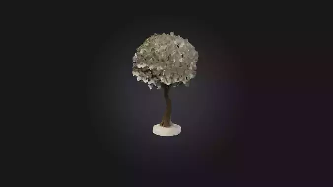 Plate Tree Low-poly 3D model