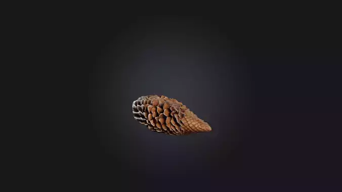 Pine Cone Model