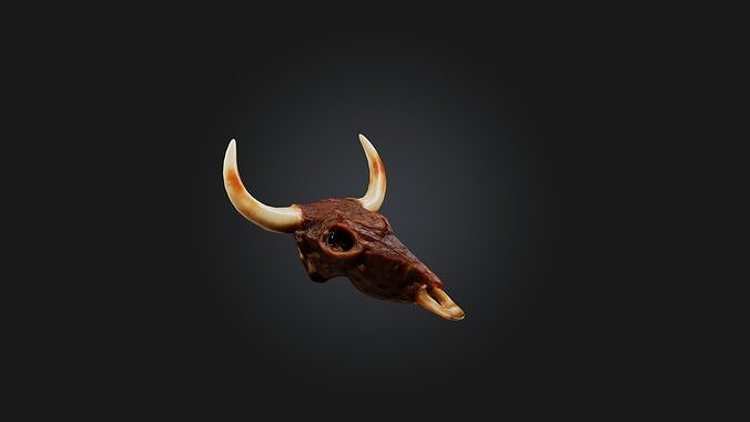 Oxtail Model Low-poly 3D model 7
