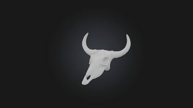 Oxtail Model Low-poly 3D model 3