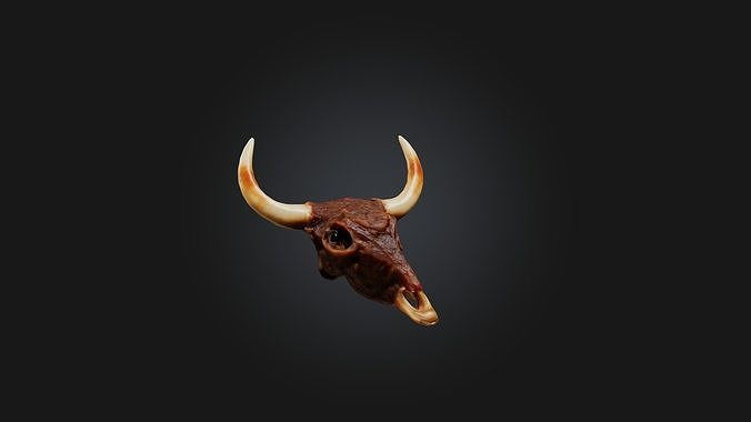 Oxtail Model Low-poly 3D model 6