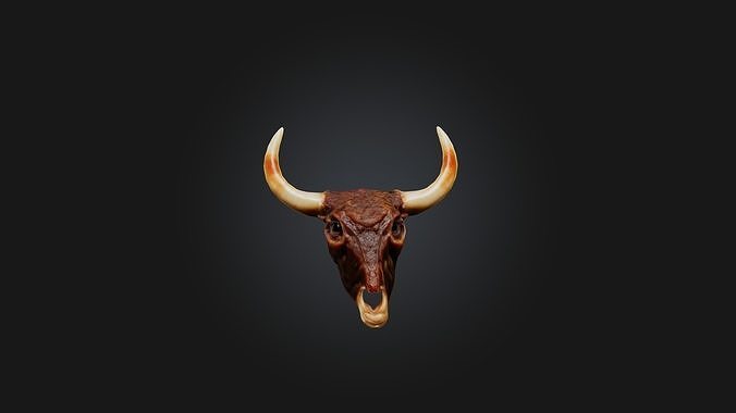 Oxtail Model Low-poly 3D model 5