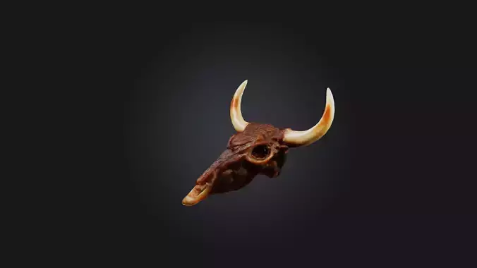 Oxtail Model Low-poly 3D model