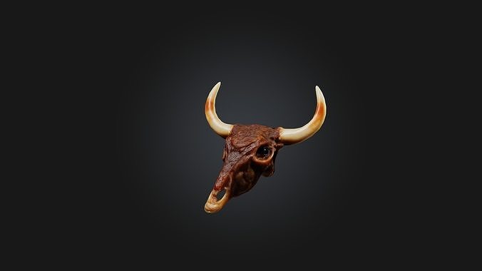 Oxtail Model Low-poly 3D model 2