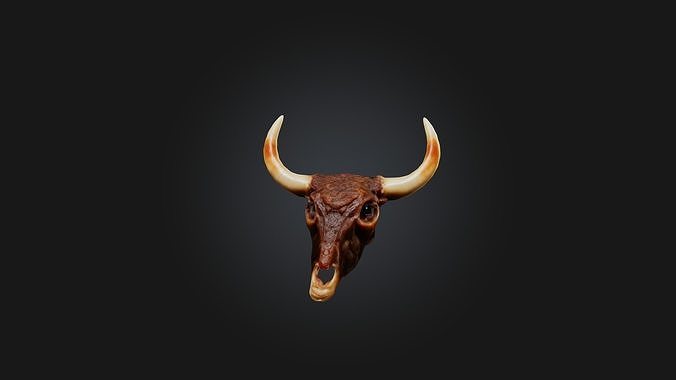 Oxtail Model Low-poly 3D model 4