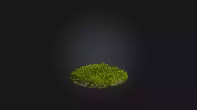 Moss Patch Model