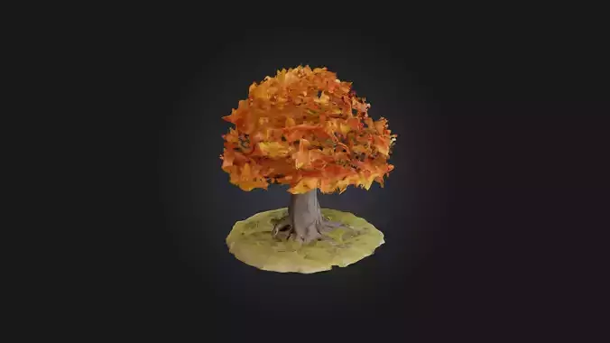 Maple Tree Model