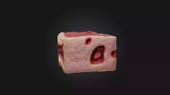 Infected Skin Tissue Low-poly 3D model