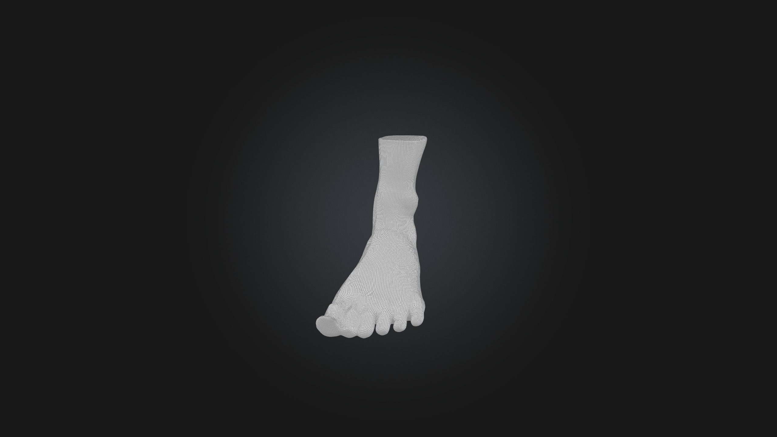 Infected Foot Low-poly 3D model_2