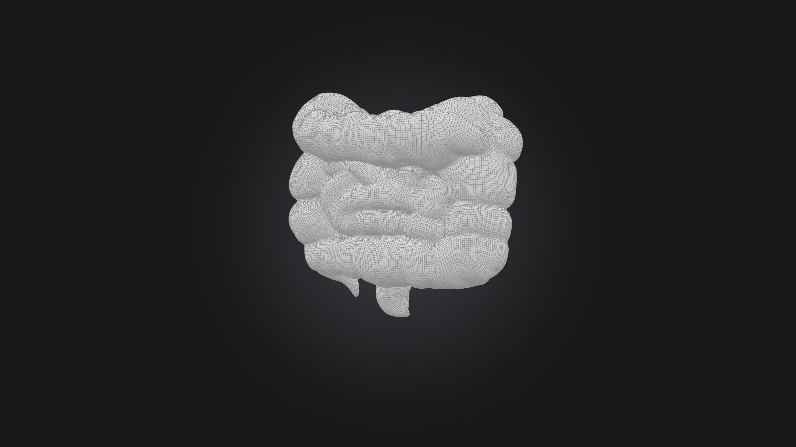 Infected Colon Low-poly 3D model_6