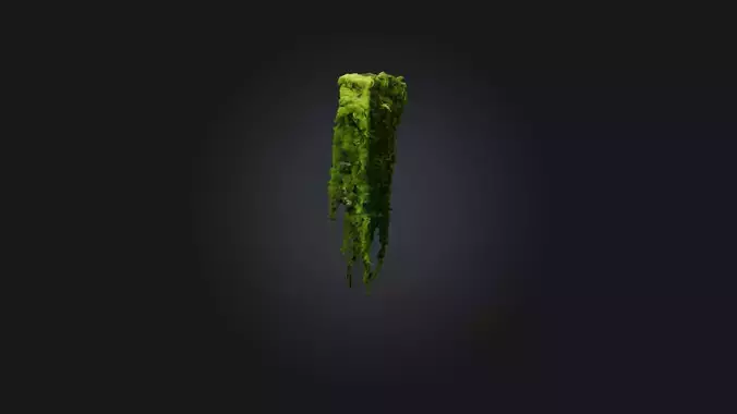 Hanging Moss Model