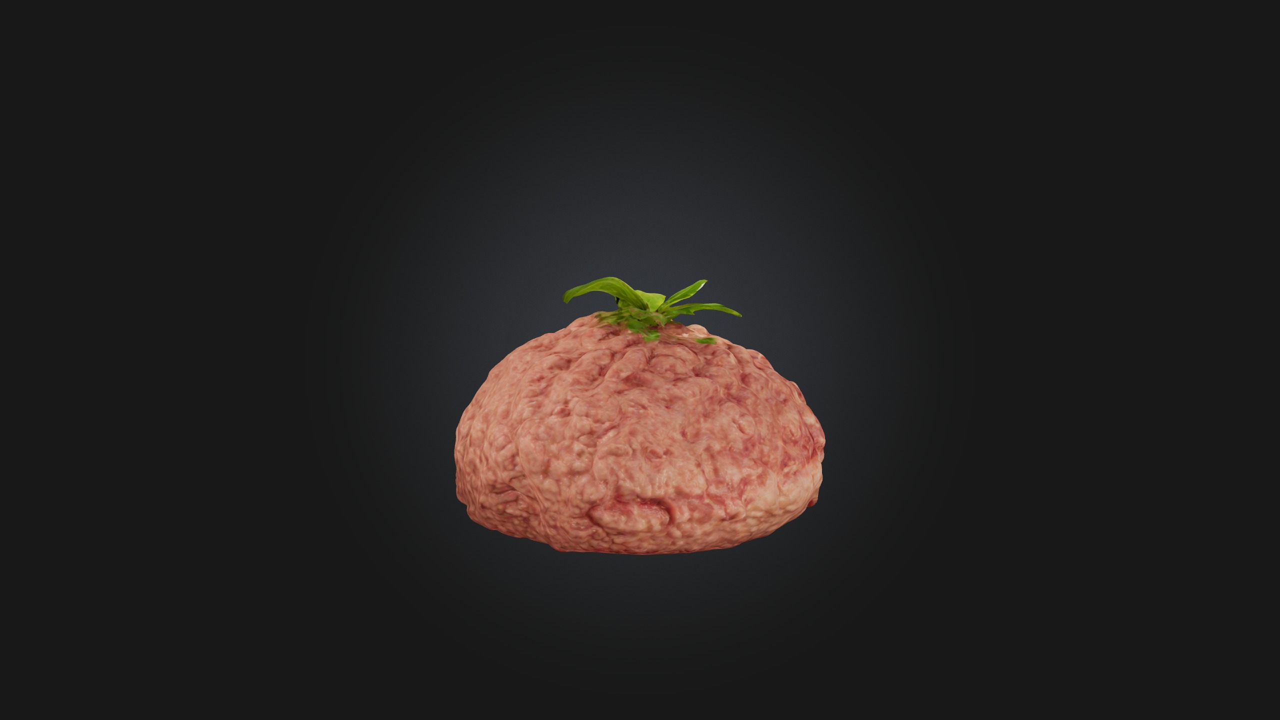 Ground Pork Model Low-poly 3D model_8