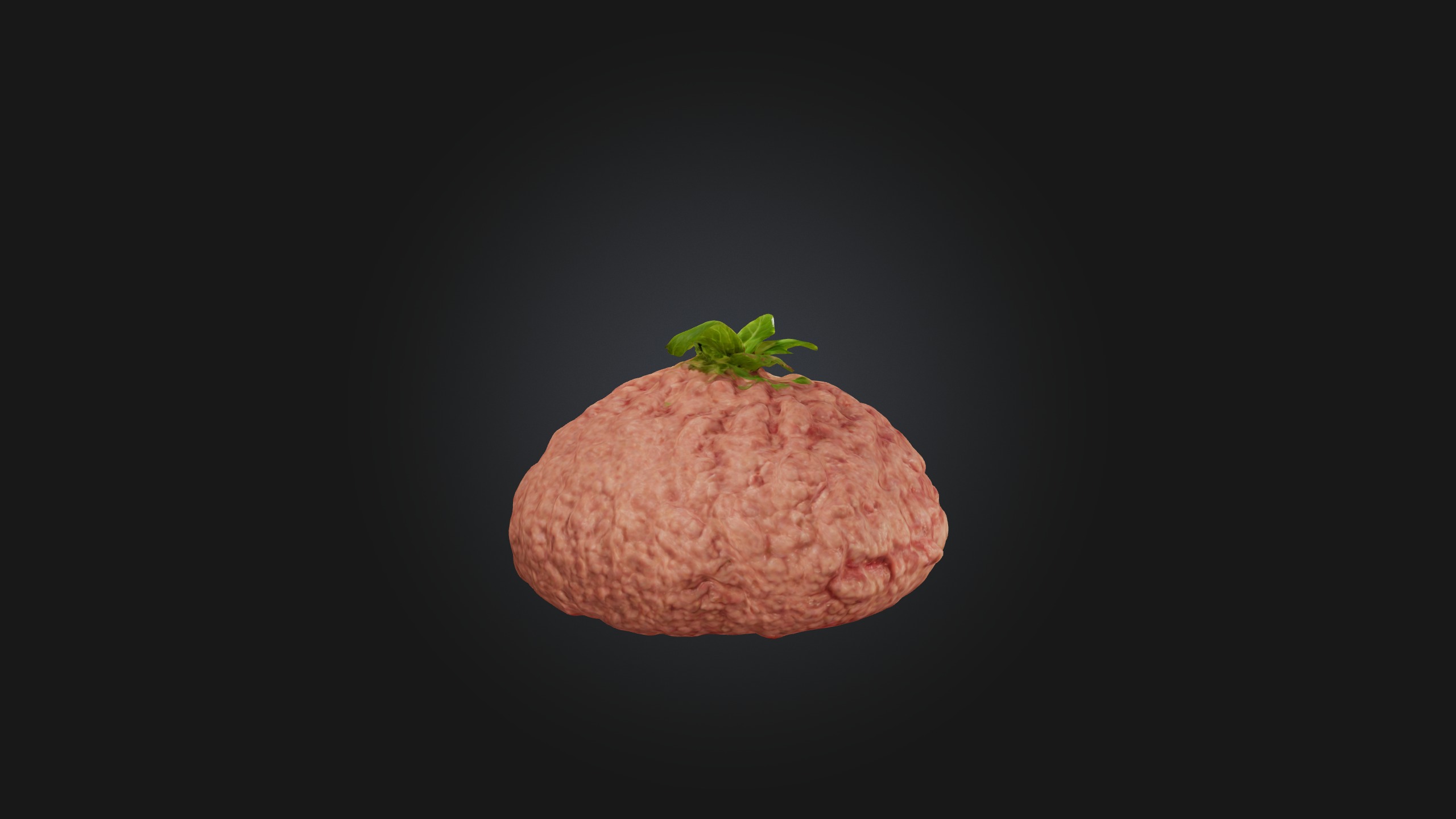 Ground Pork Model Low-poly 3D model_9
