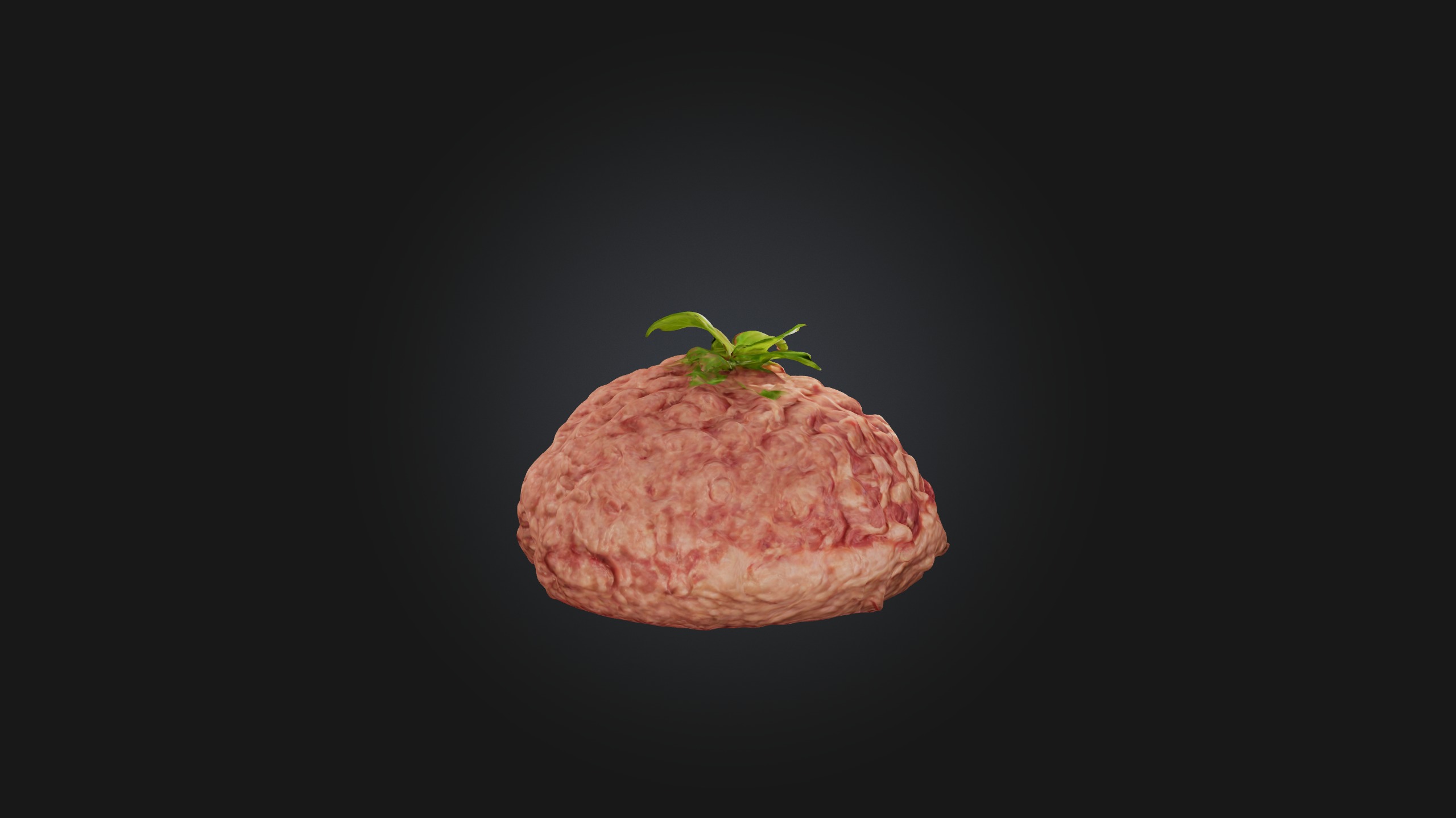 Ground Pork Model Low-poly 3D model_7