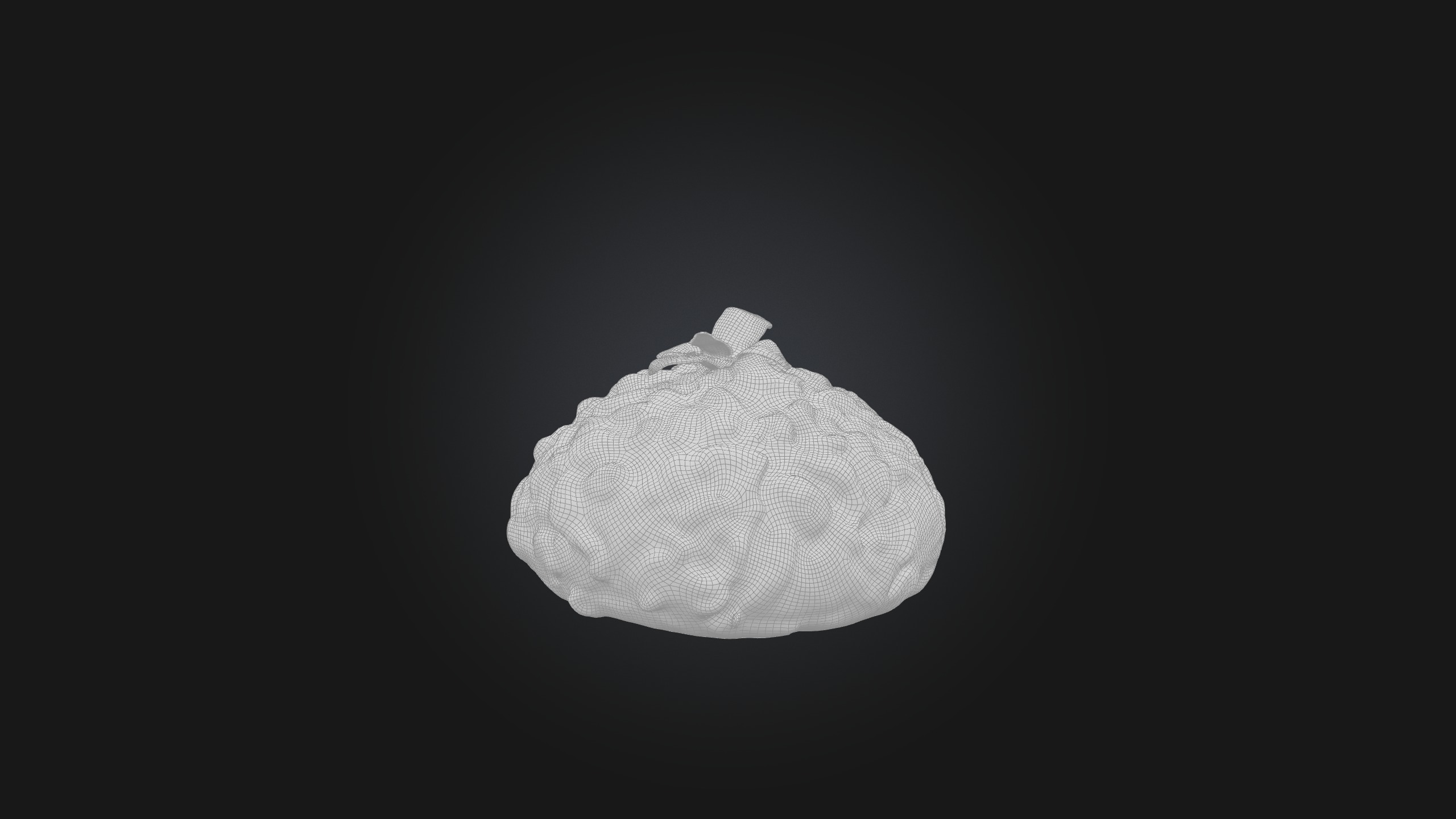 Ground Pork Model Low-poly 3D model_2