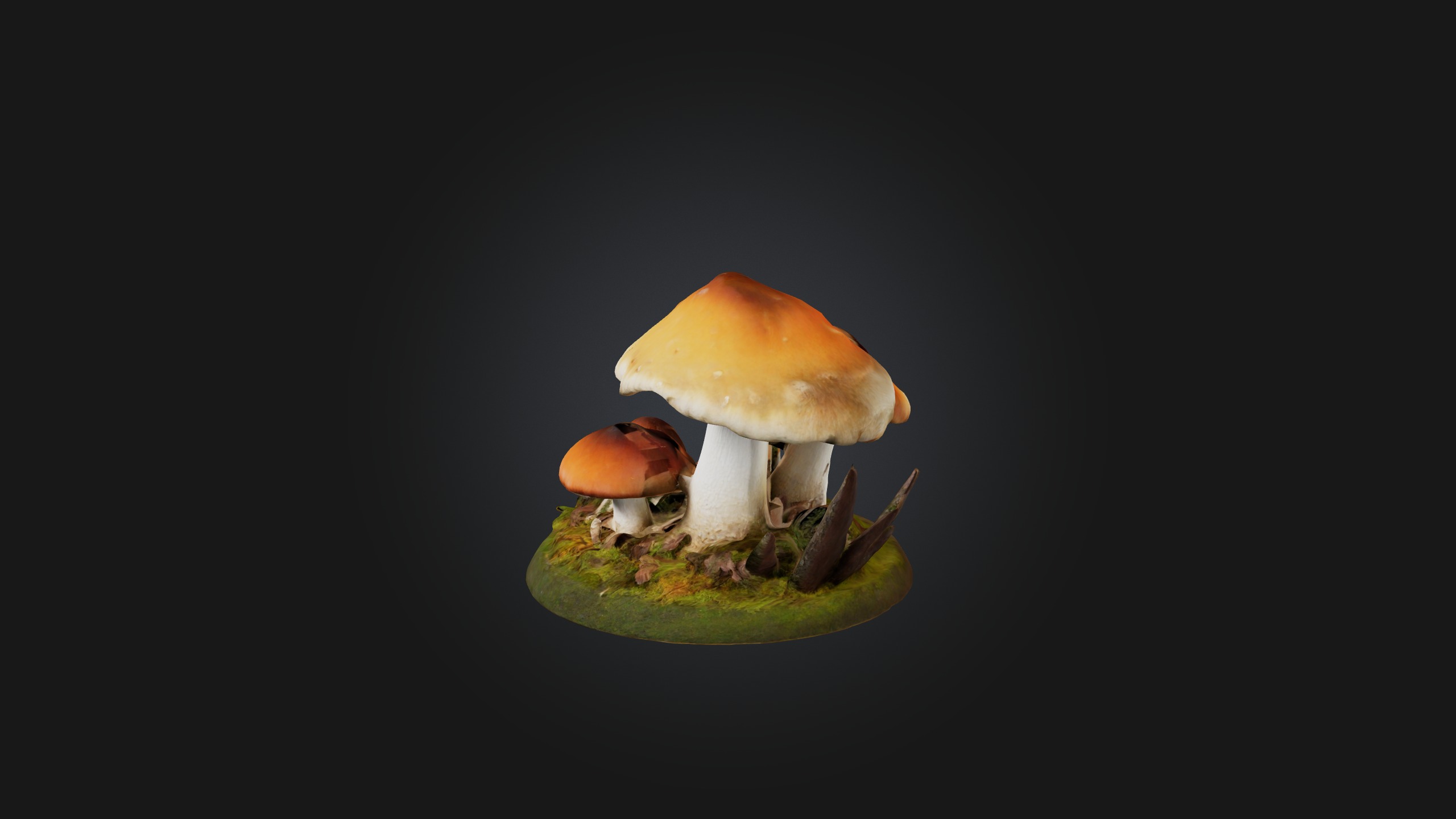 Forest Mushroom Model Low-poly 3D model_1