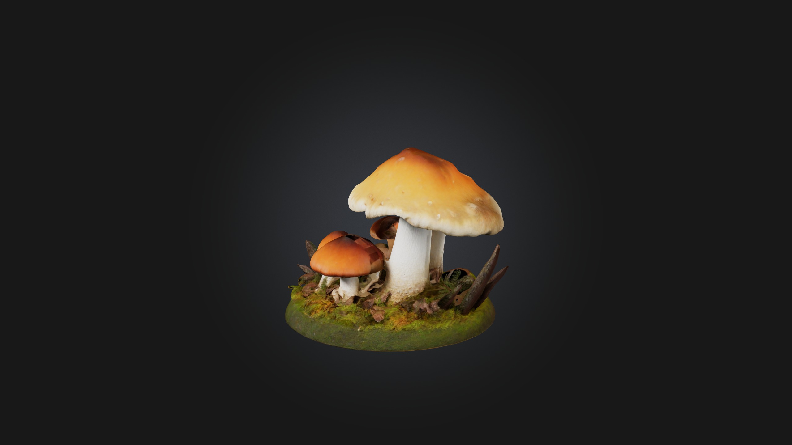 Forest Mushroom Model Low-poly 3D model_2
