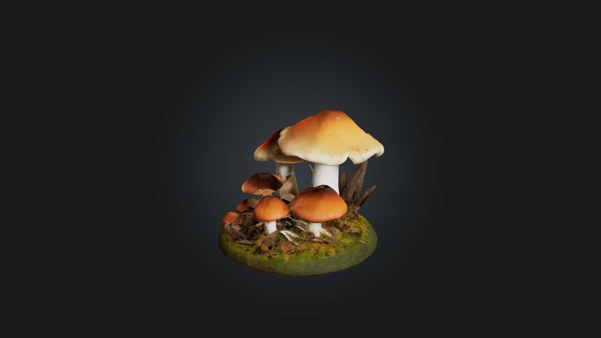 Forest Mushroom Model Low-poly 3D model_6