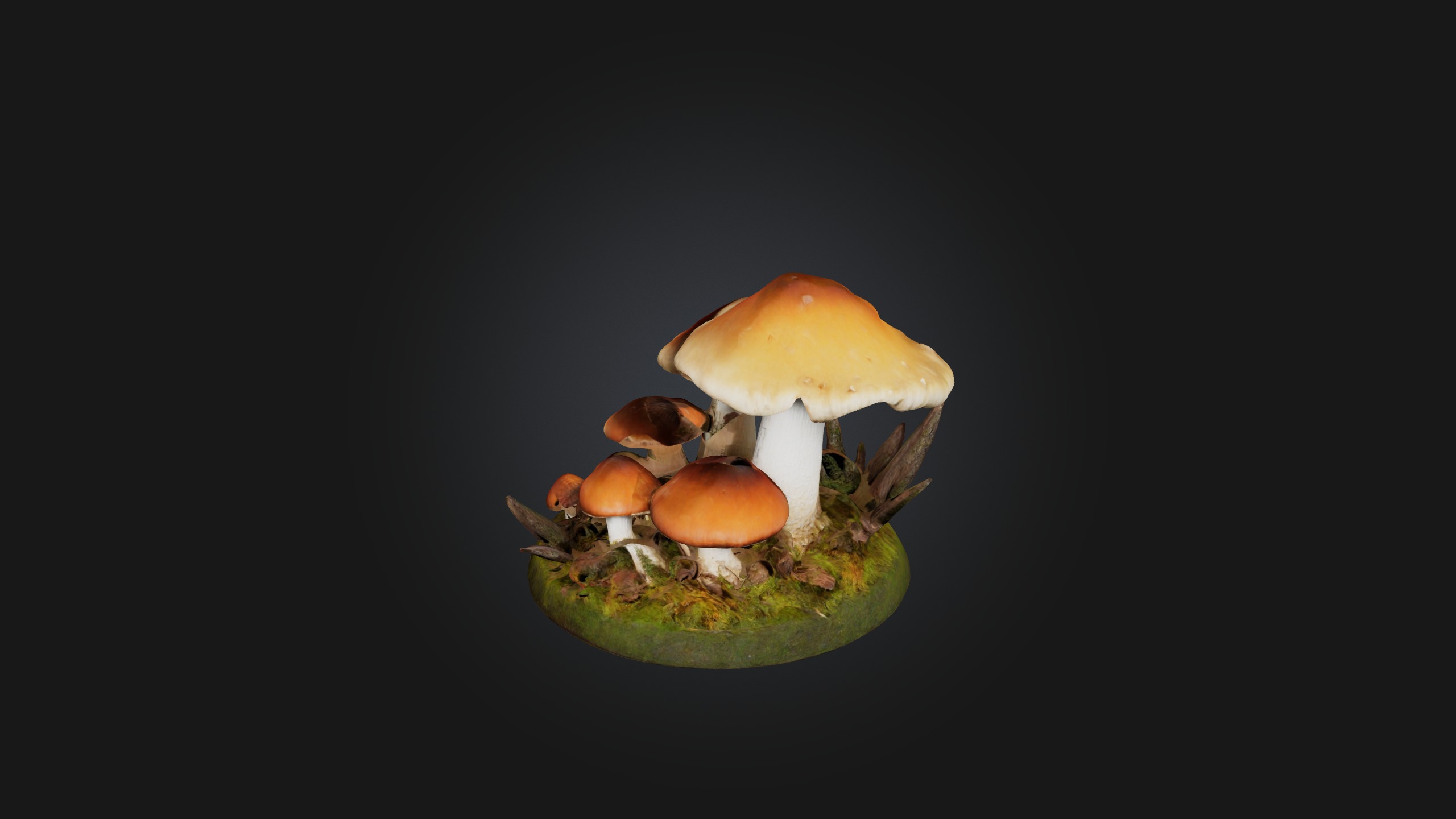 Forest Mushroom Model Low-poly 3D model_5