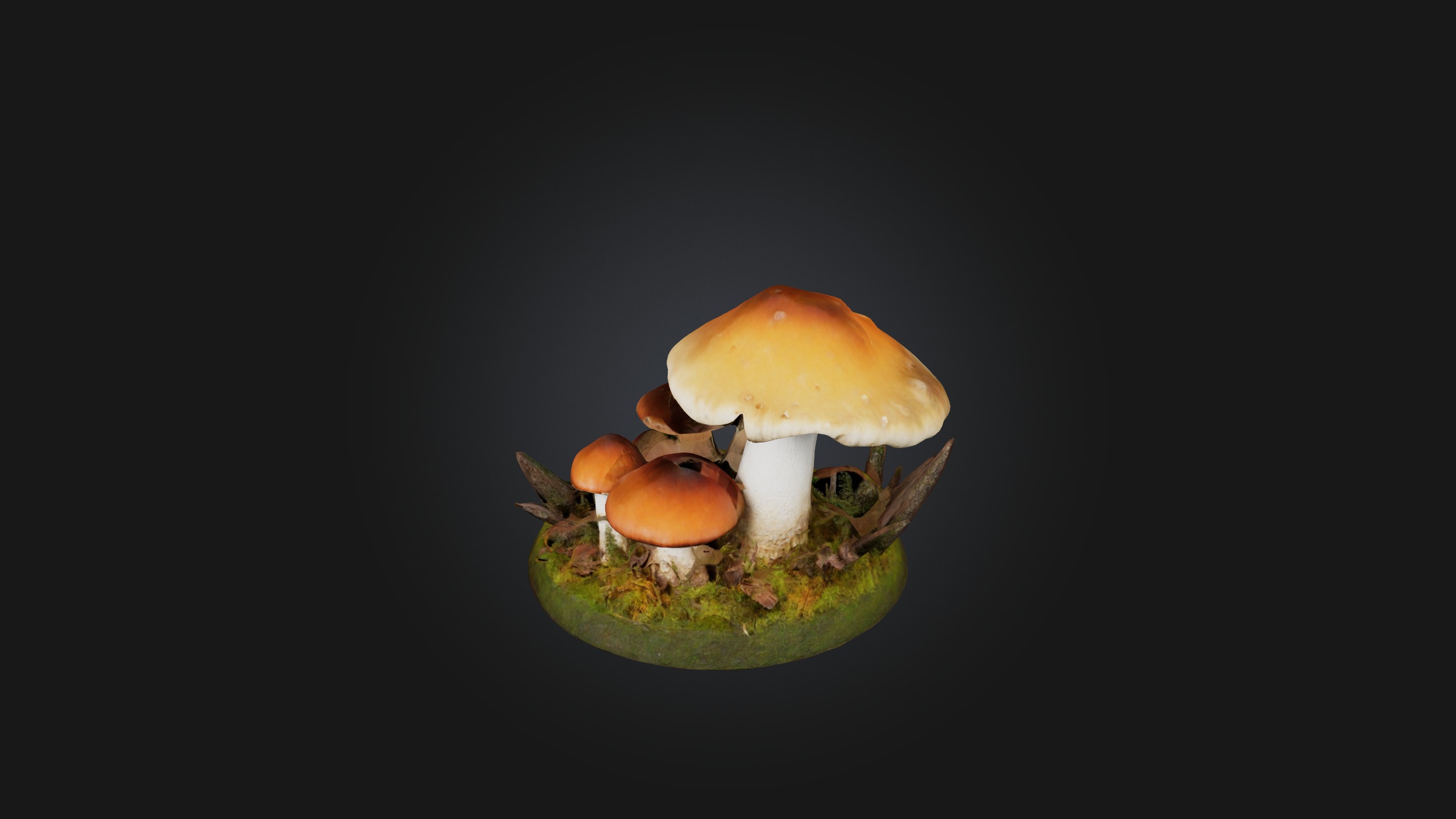 Forest Mushroom Model Low-poly 3D model_4