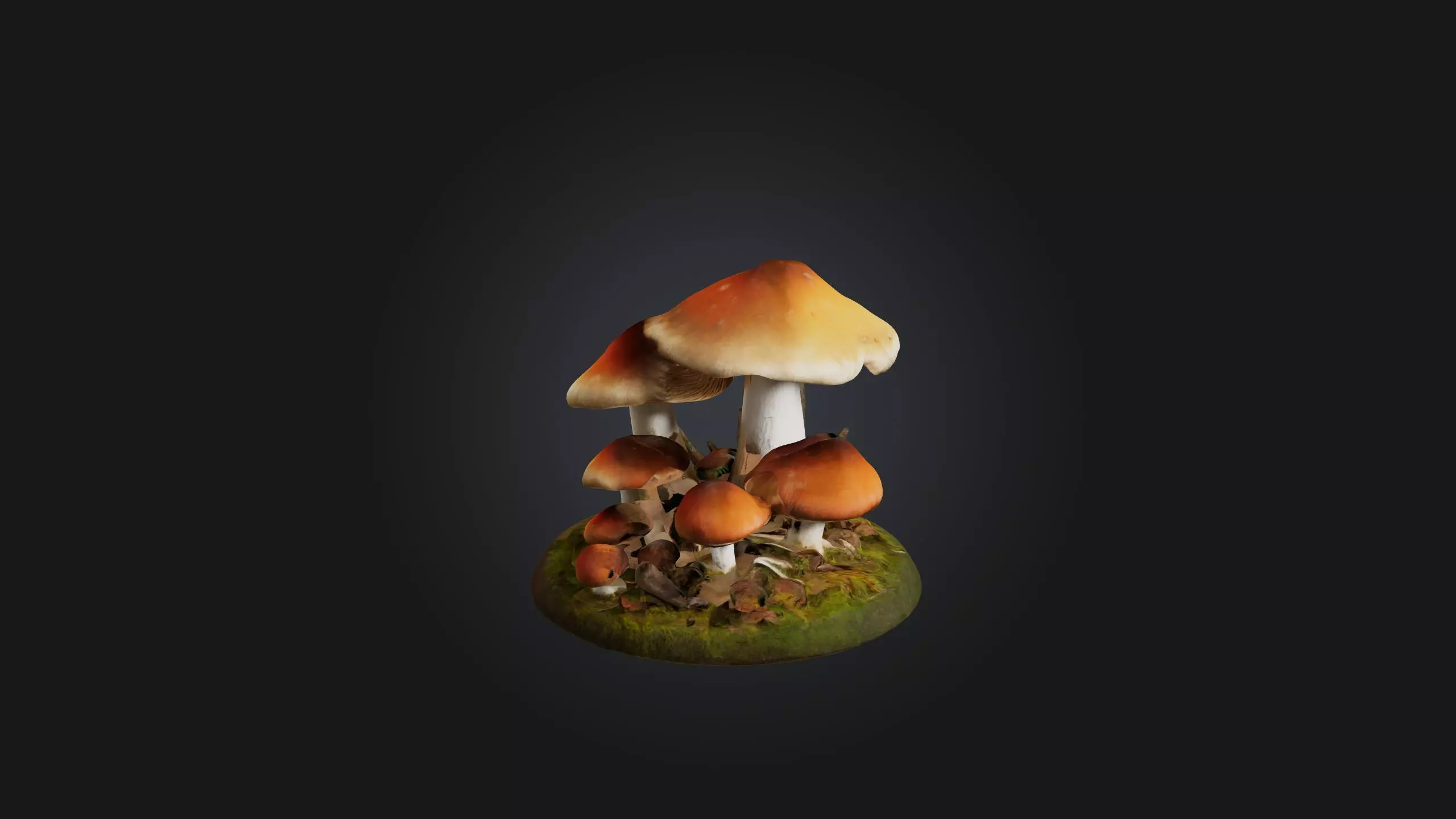 Forest Mushroom Model Low-poly 3D model_0