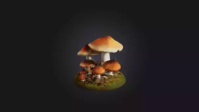 Forest Mushroom Model