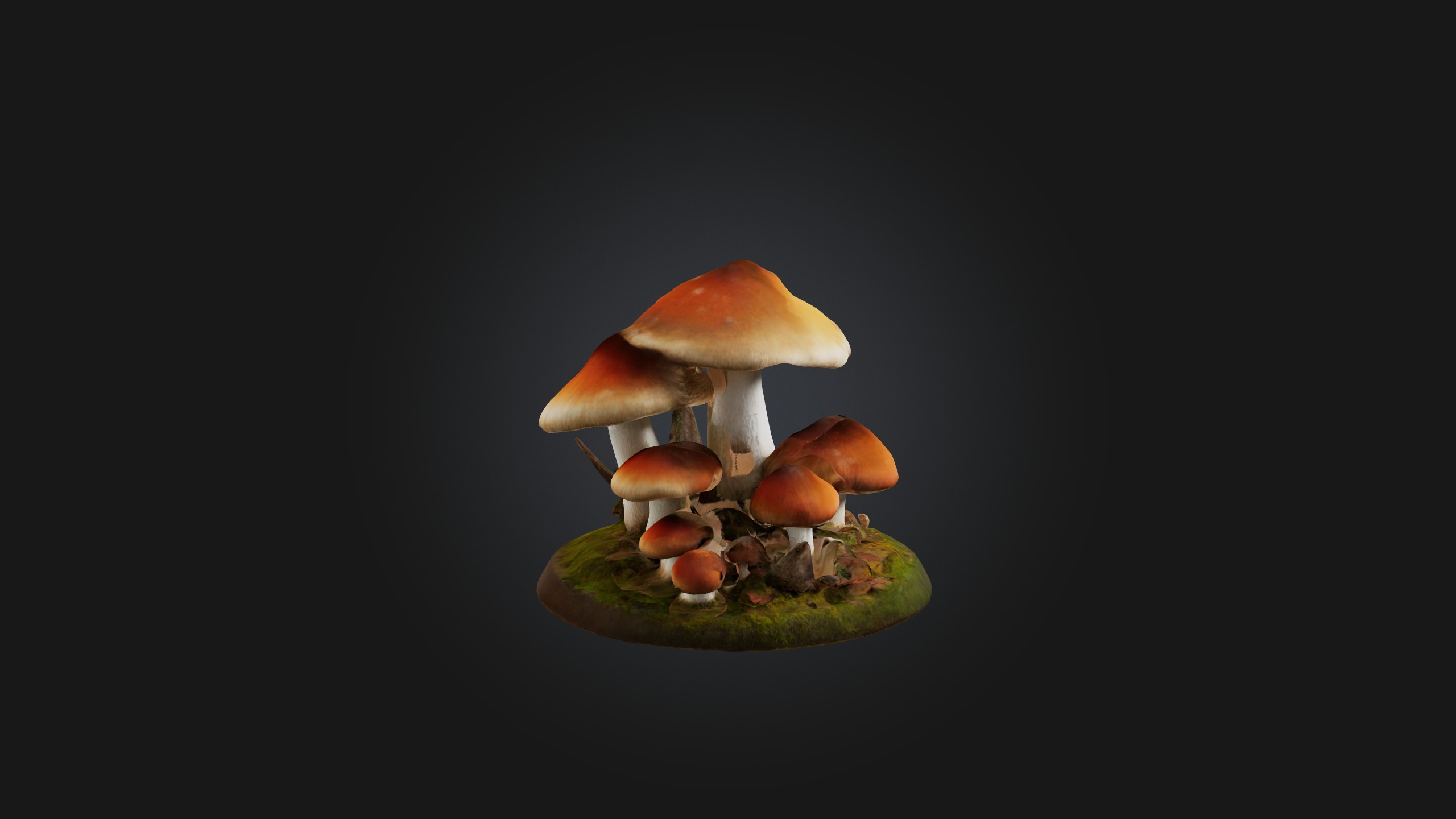 Forest Mushroom Model Low-poly 3D model_7