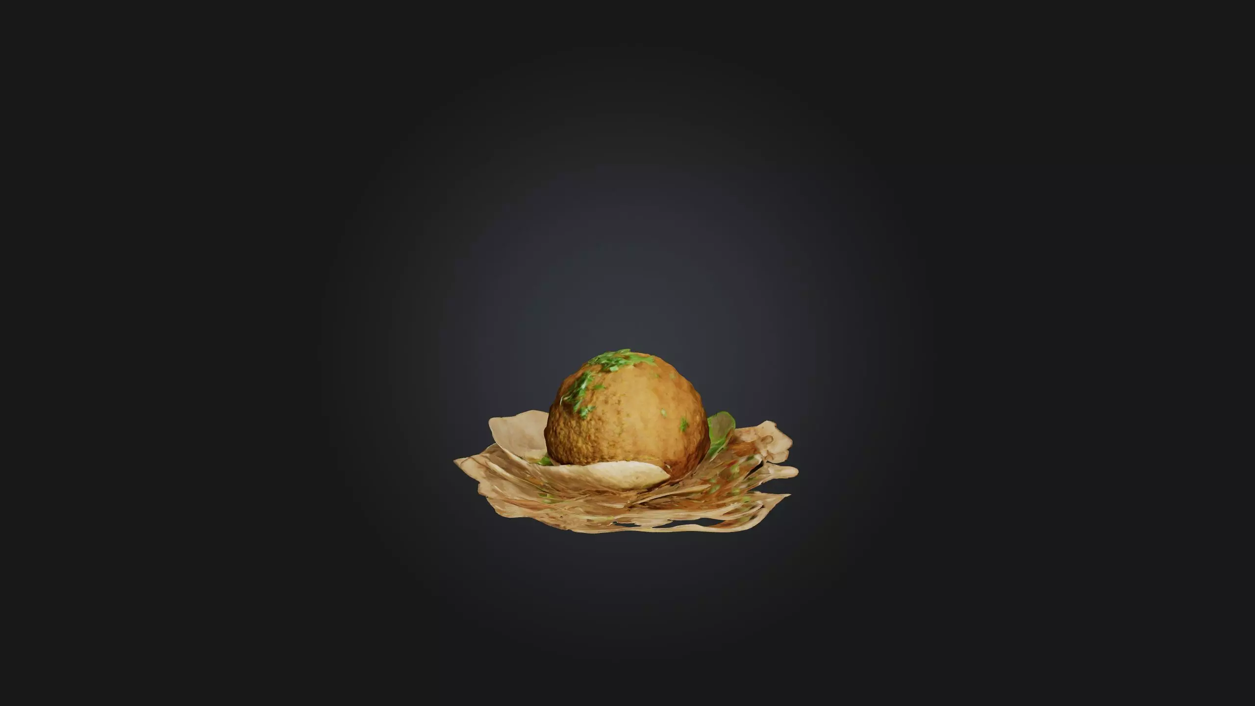 Falafel Model Low-poly 3D model_0