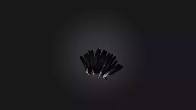 Crow Feathers Low-poly 3D model