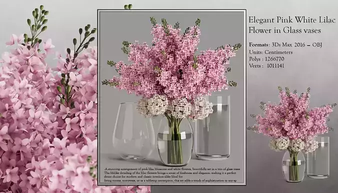 Elegant Pink White Lilac Flower in Glass Vases