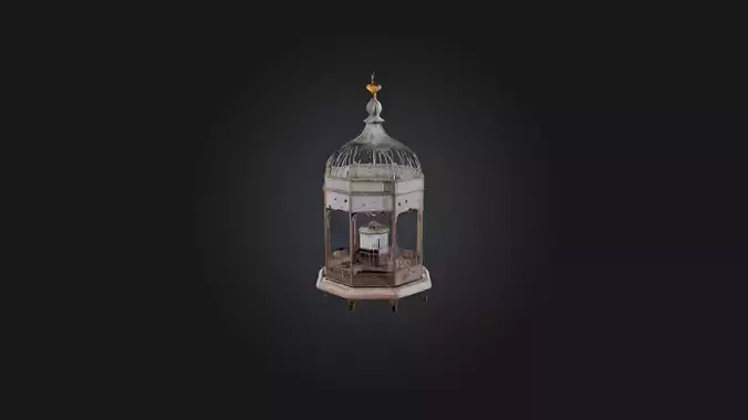 Bird Cage