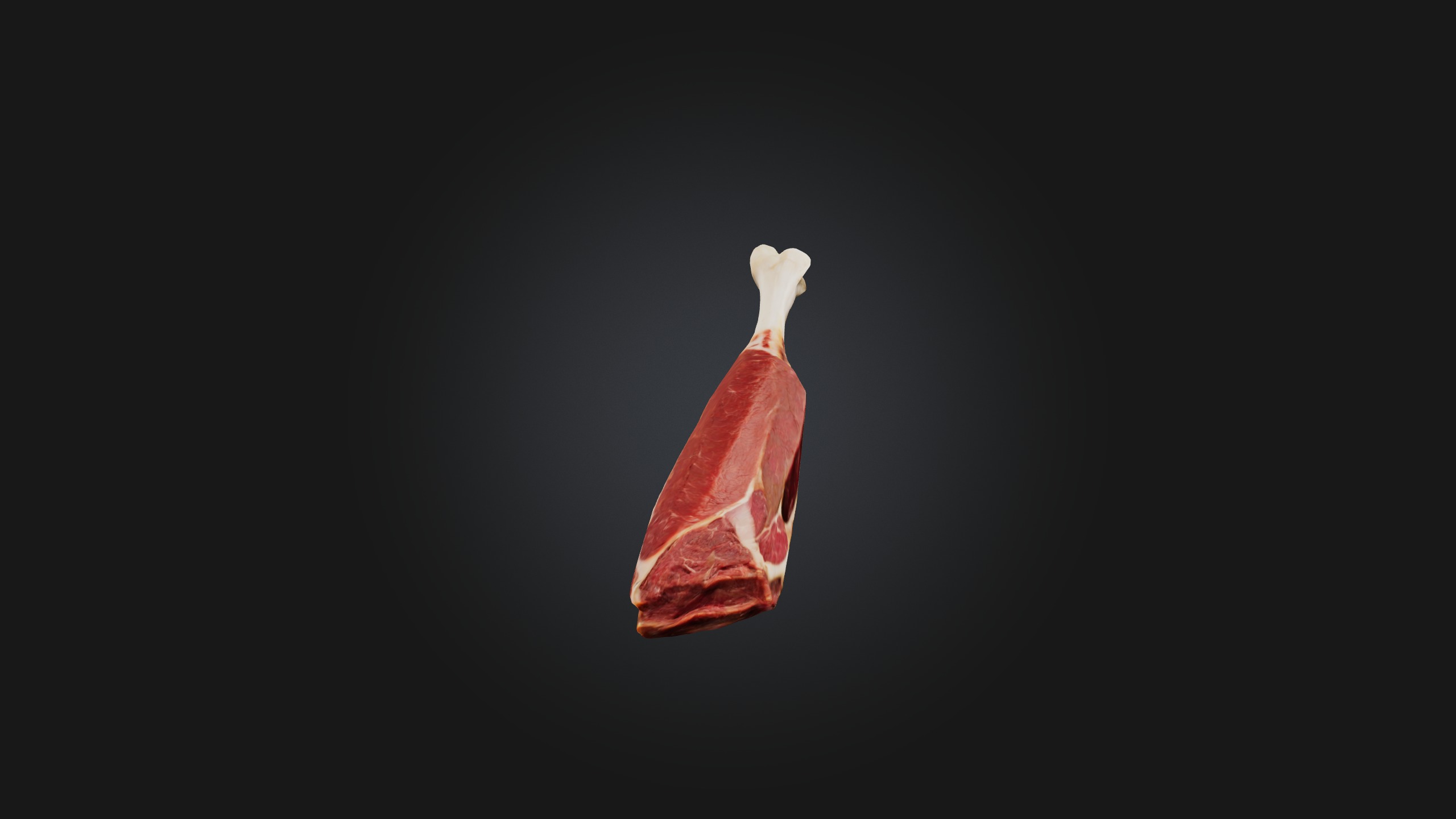 Beef Shank Model Low-poly 3D model_8