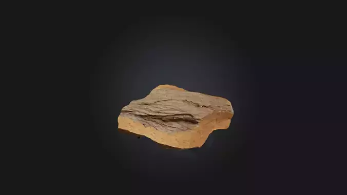 Bark Fragment Model