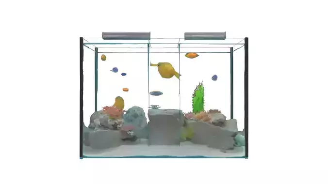 Aquarium