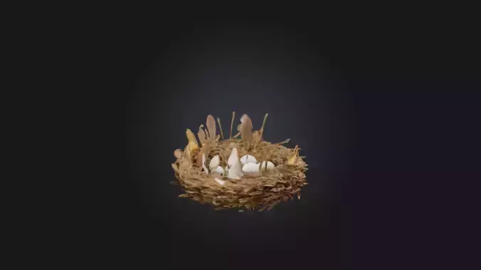 Animal Nest Model Low-poly 3D model
