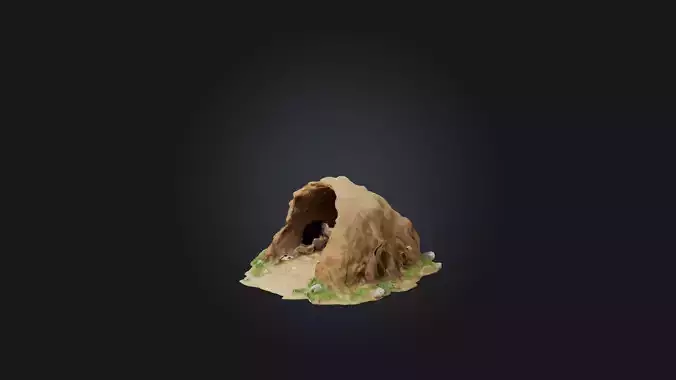 Animal Burrow Model