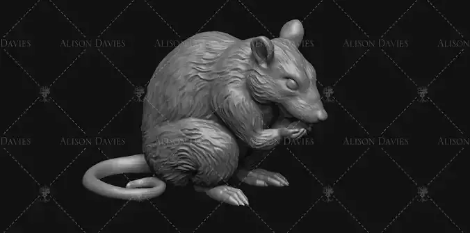 Rat eating 3d Print model 3D print model