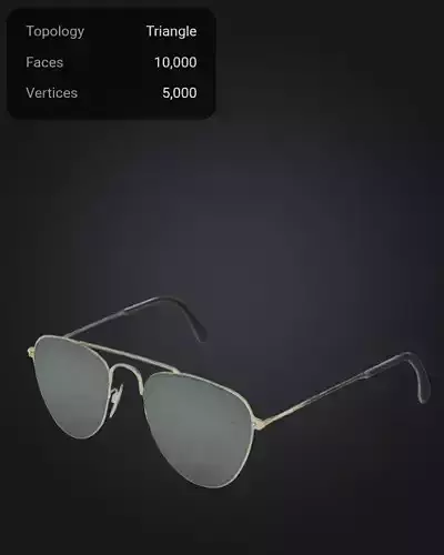 Modern Sunglass 3D Model