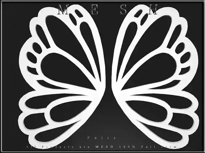 Butterfly wings 02